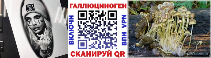 Галлюциногенные грибы прущие грибы  Купить закладки  Тихорецк 